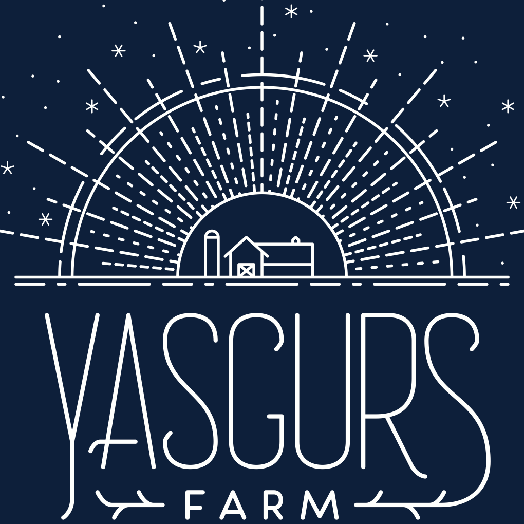 Mardi Gras with Yasgur's Farm